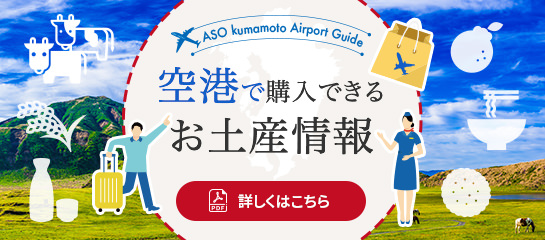 Souvenirs available for purchase at the airport