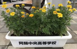 阿蘇中央高校　生徒さんの花卉展示について（８月）