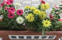 南稜高校　生徒さんの花卉展示について（10月）