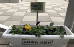 北稜高校　生徒さんの花卉展示について（12月）