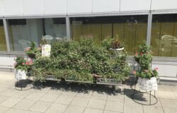 菊池農業高校　生徒さんの花卉展示について（2022年9月）