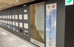 About the "Uki City Sightseeing Flight Exhibition" on the 4th floor of the Passenger Terminal Building