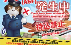 動物検疫所より台湾へご旅行される方へお知らせ