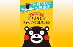 阿蘇くまモン空港限定商品ご案内🛫TEA STAND Tsuguto、