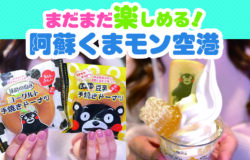 阿蘇くまモン空港★最新情報！（4月24日更新）