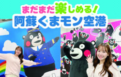 阿蘇くまモン空港★最新情報！（5月8日更新）