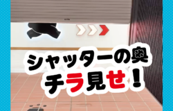 阿蘇くまモン空港★最新情報！（6月24日更新）